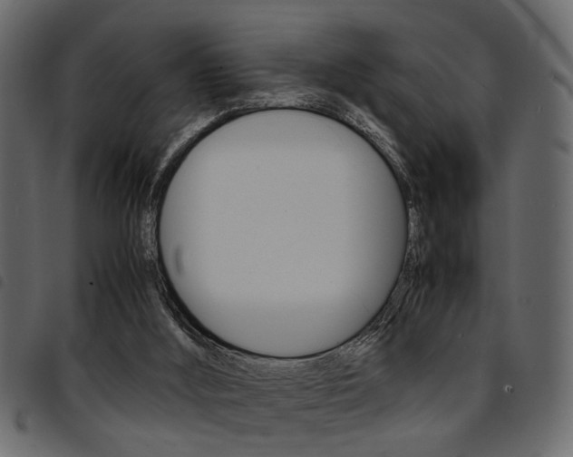 X0000094910012200711291010
