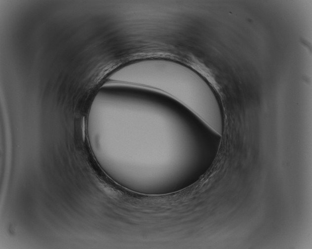 X0000094910013200711291010