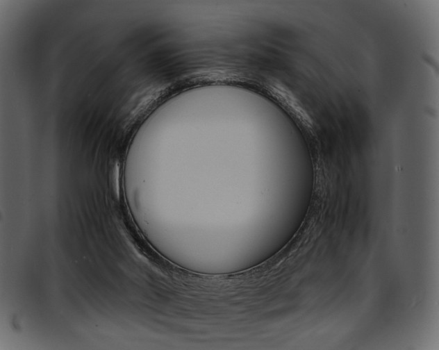 X0000094910014200711291010