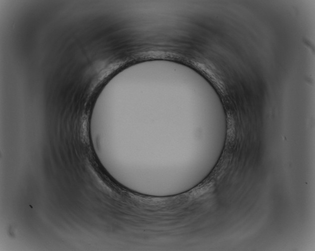 X0000094910016200711291010