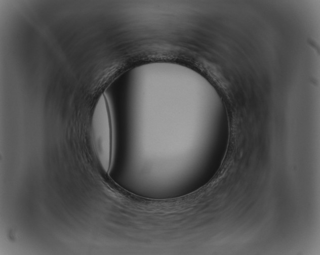 X0000094910017200711291010