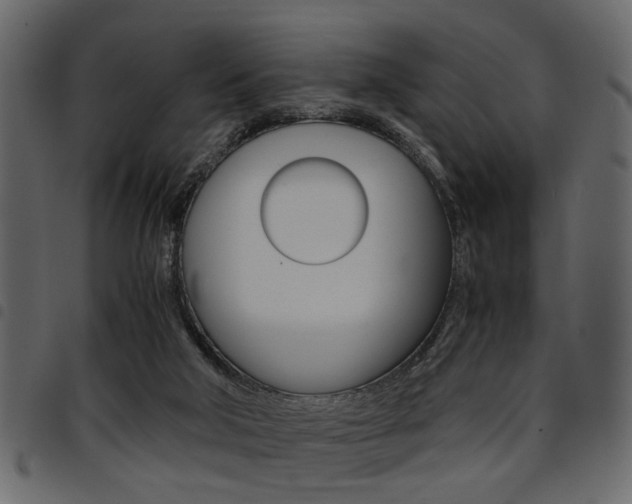 X0000094910018200711291010