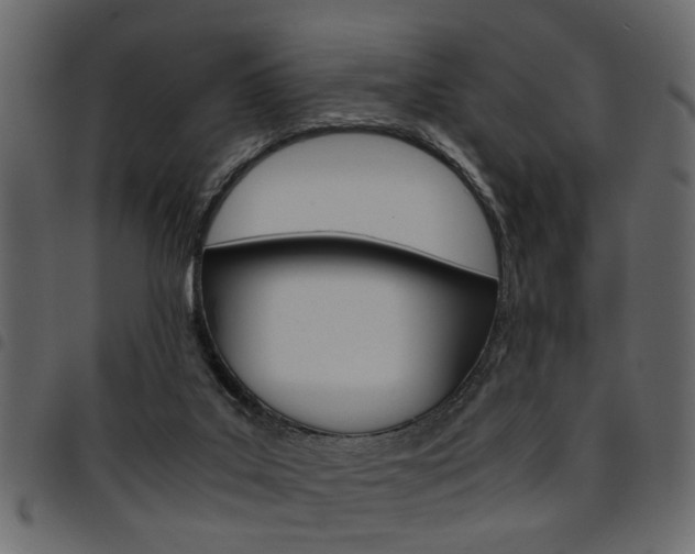 X0000094910019200711291010