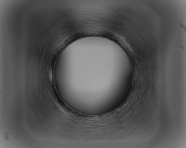X0000094910021200711291010