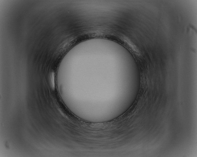 X0000094910022200711291010
