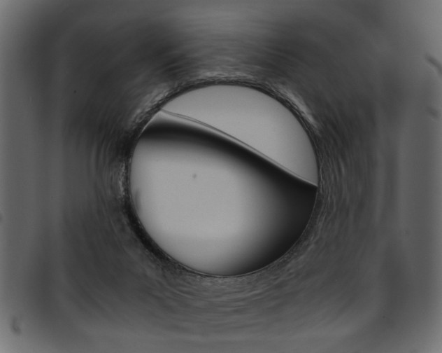 X0000094910023200711291010