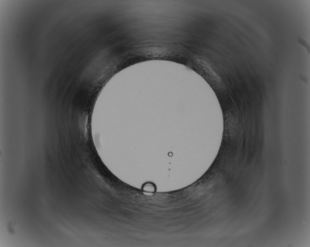 X0000094910024200711291010
