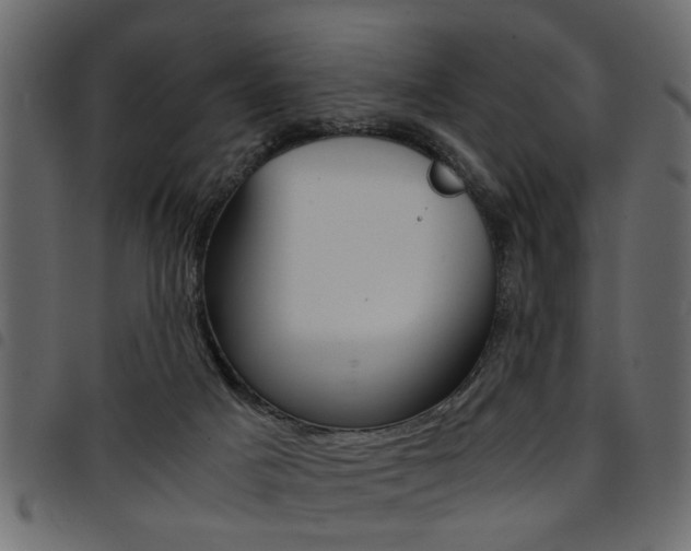 X0000094910025200711291010