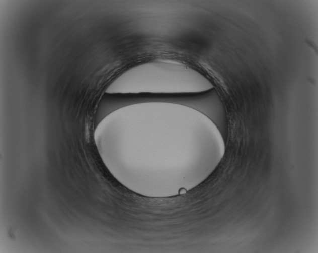 X0000094910026200711291010