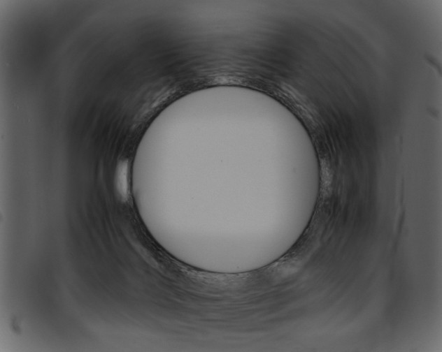 X0000094910028200711291010