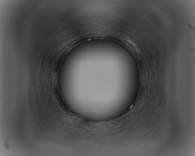 X0000094910029200711291010