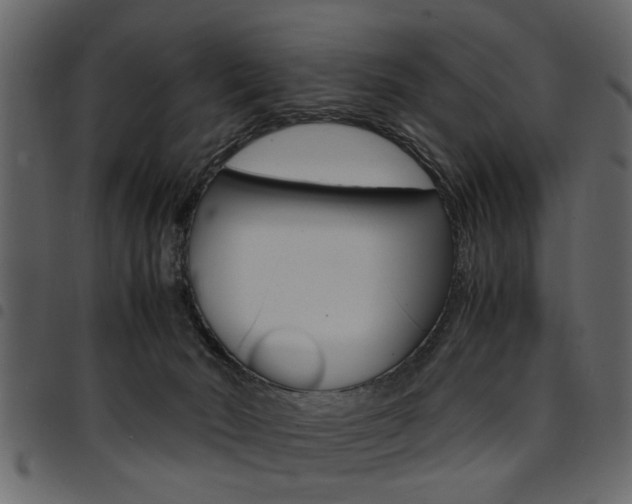 X0000094910030200711291010