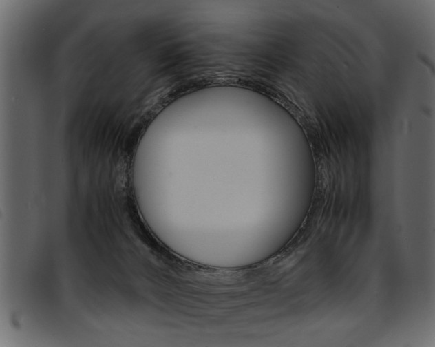 X0000094910032200711291010