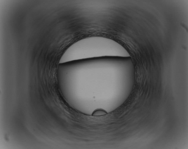 X0000094910034200711291010