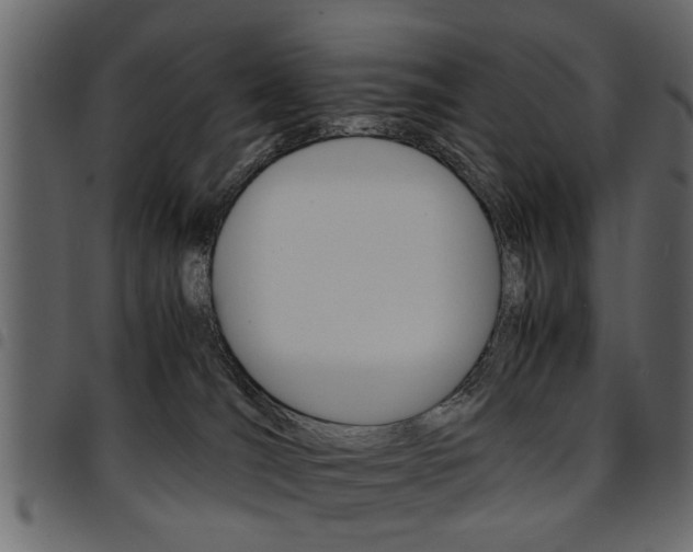 X0000094910036200711291010