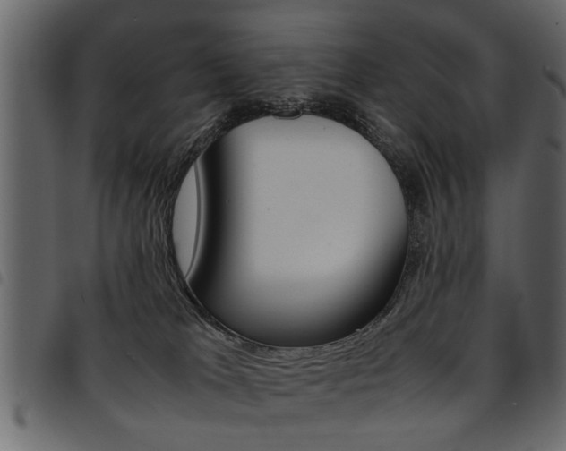 X0000094910037200711291010