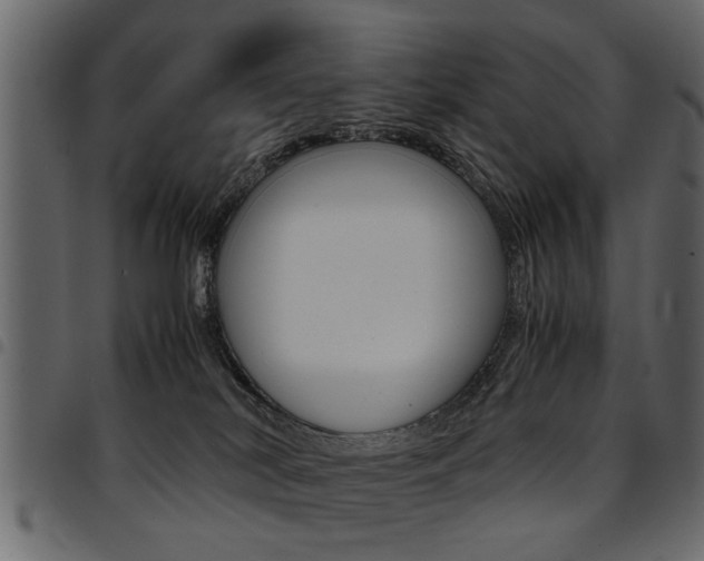 X0000094910038200711291010