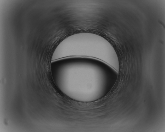 X0000094910039200711291010