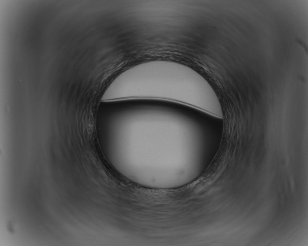 X0000094910040200711291010