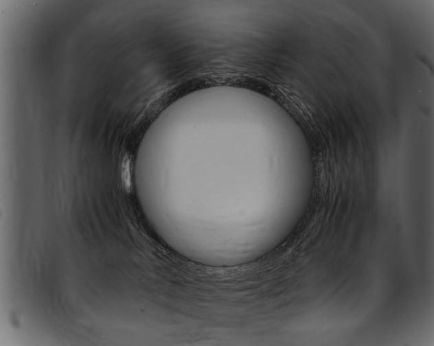 X0000094910042200711291010
