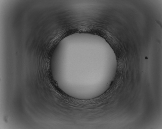 X0000094910043200711291010