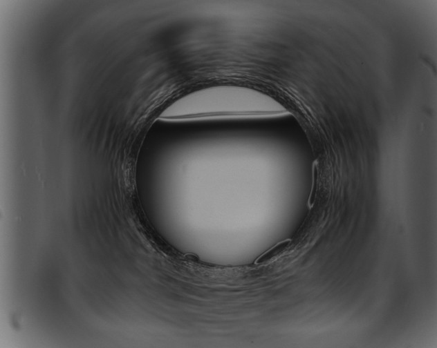 X0000094910044200711291010