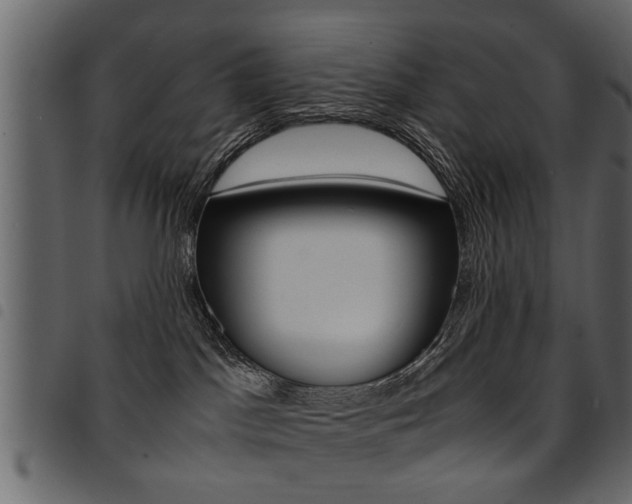 X0000094910045200711291010