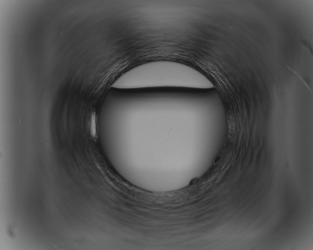 X0000094910046200711291010