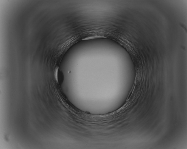 X0000094910047200711291010