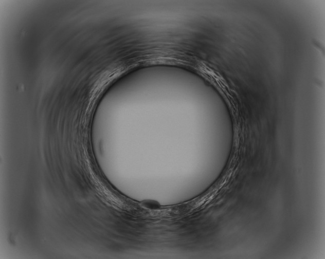 X0000094910049200711291009
