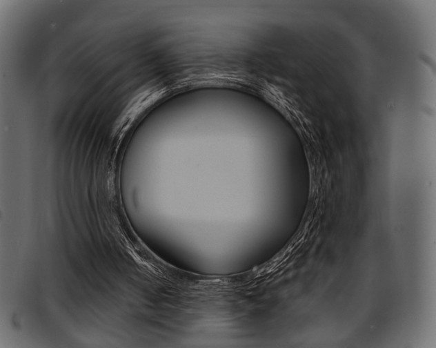 X0000094910050200711291009