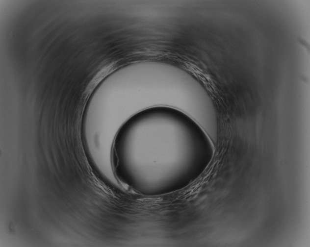 X0000094910051200711291009