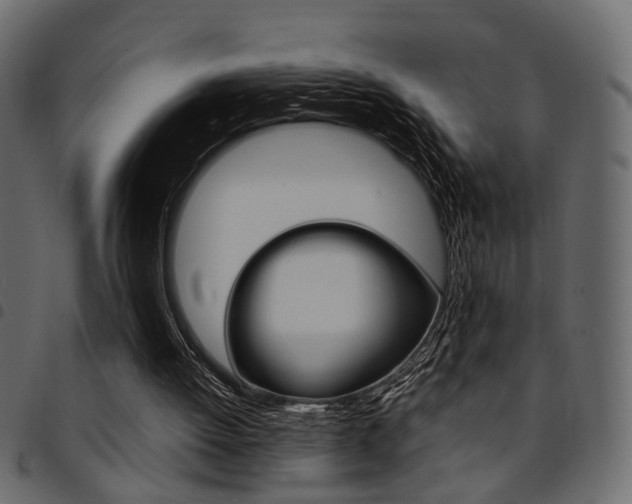 X0000094910052200711291009