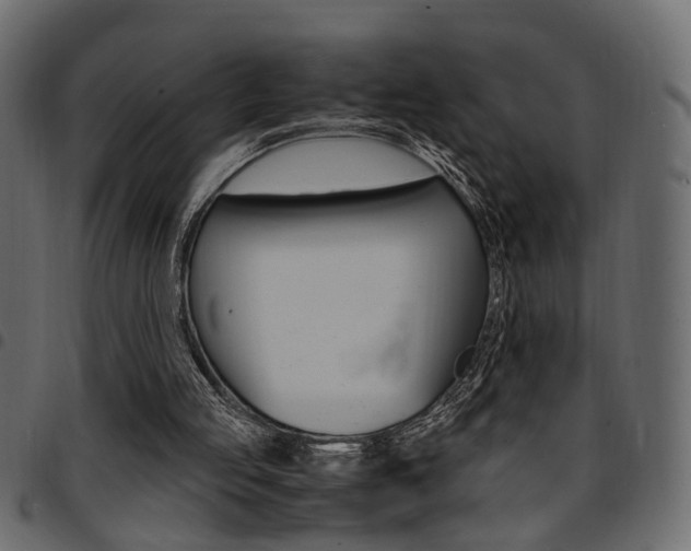 X0000094910053200711291009