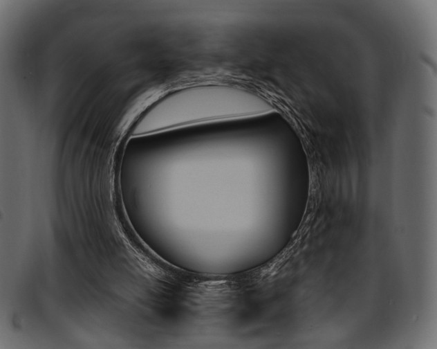 X0000094910054200711291009