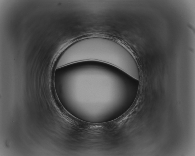 X0000094910055200711291009
