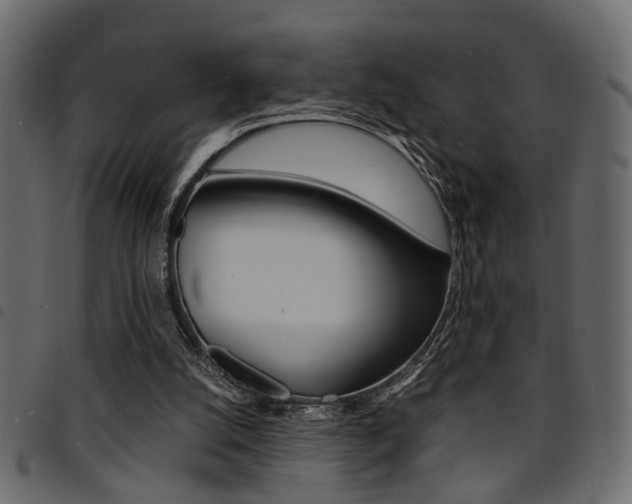 X0000094910056200711291009