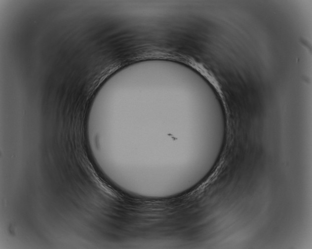 X0000094910057200711291009