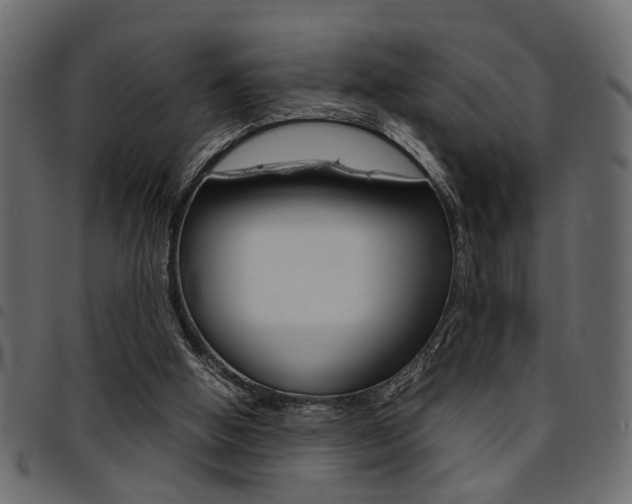 X0000094910058200711291009