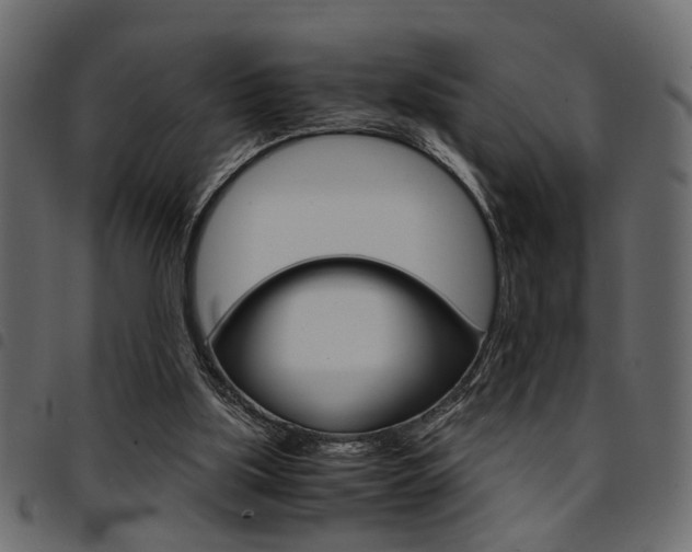 X0000094910059200711291009