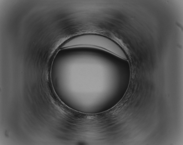 X0000094910060200711291009