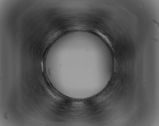 X0000094910061200711291009