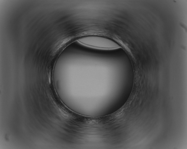 X0000094910062200711291009