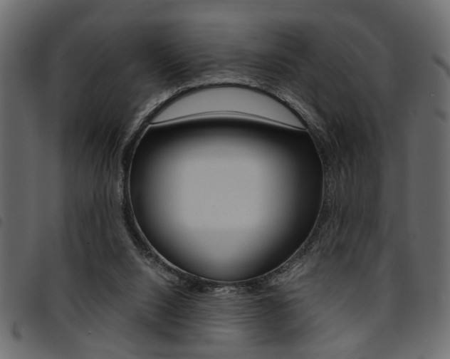 X0000094910064200711291009