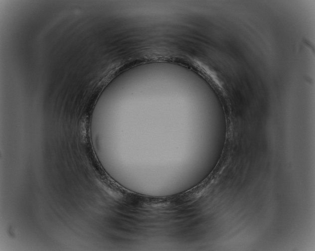 X0000094910065200711291009