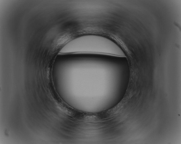 X0000094910066200711291009
