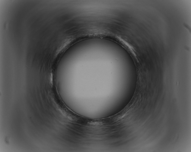 X0000094910067200711291009