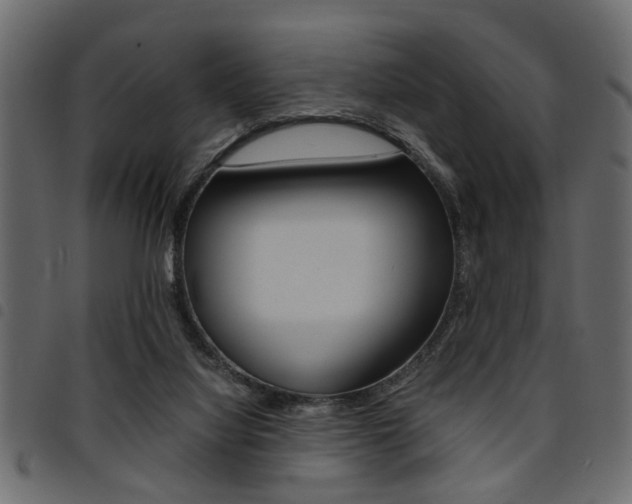 X0000094910068200711291009