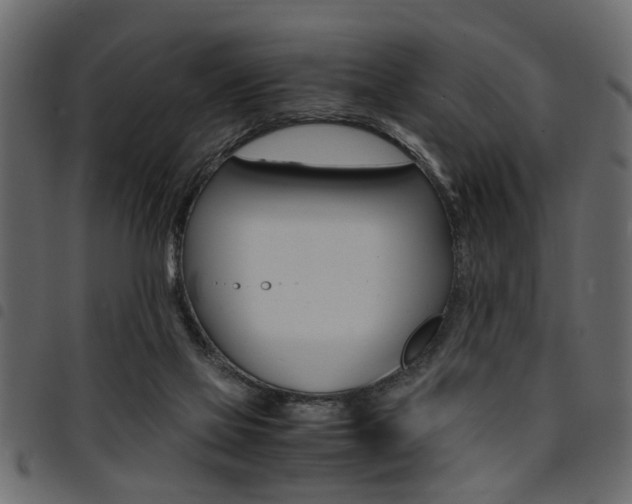 X0000094910069200711291009
