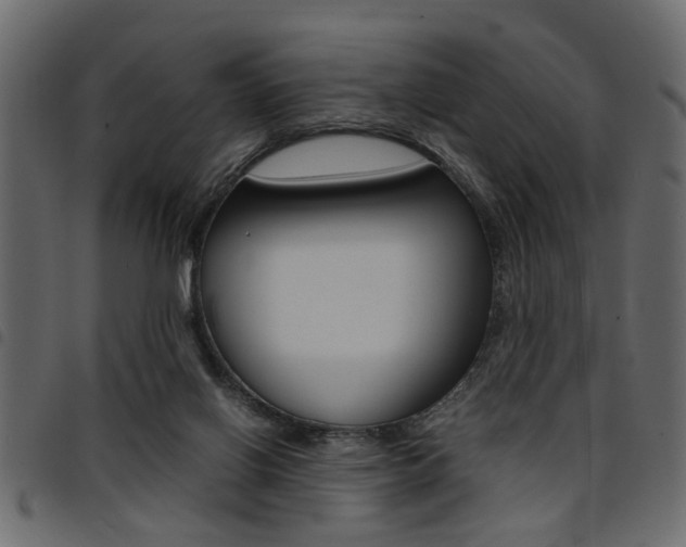 X0000094910070200711291009